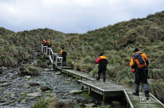 Nosso grupo de caiaque faz a trilha de Prion Island, na Geórgia do Sul